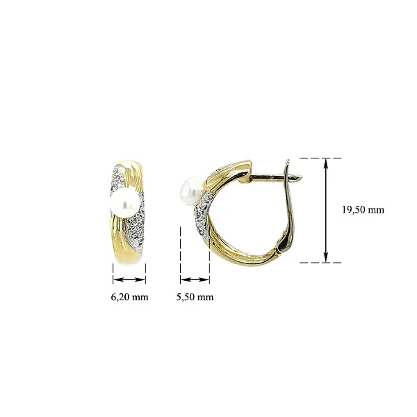 Gold Earrings with Pearl and Zircones