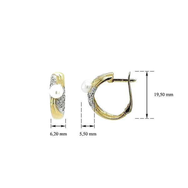 Gold Earrings with Pearl and Zircones