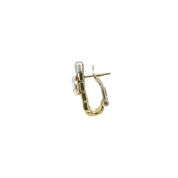 Elegant Two-Tone Gold Earrings with Zirconia