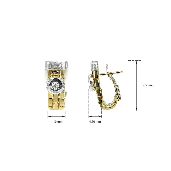 Elegant Two-Tone Gold Earrings with Zirconia