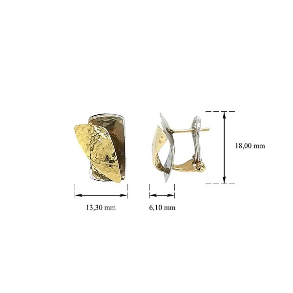 Earrings made of Combination Gold