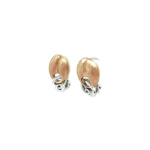 Earrings made of Combination Gold