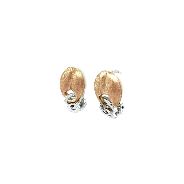 Earrings made of Combination Gold