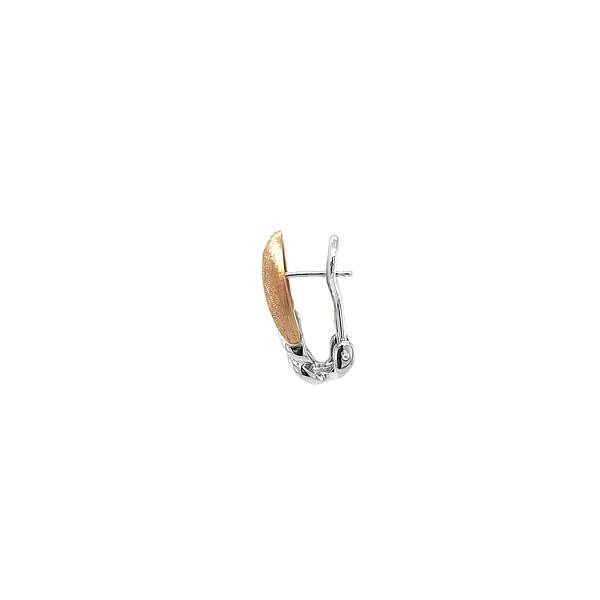 Earrings made of Combination Gold