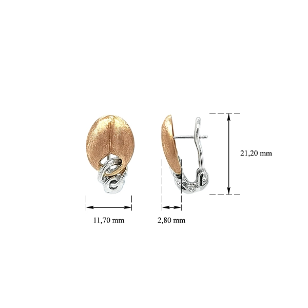 Earrings made of Combination Gold