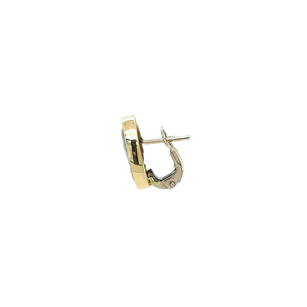 Luxury Gold Earrings with Cameo and Secure Clasp