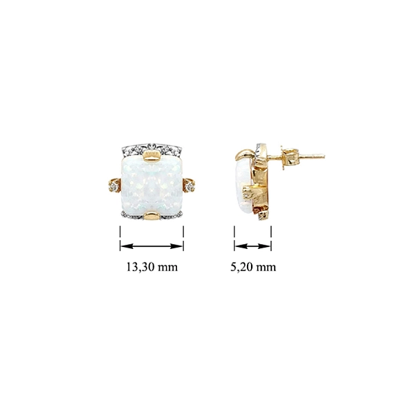 Gold Earrings with Opal and Zircones