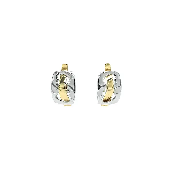 Earrings made of Combination Gold