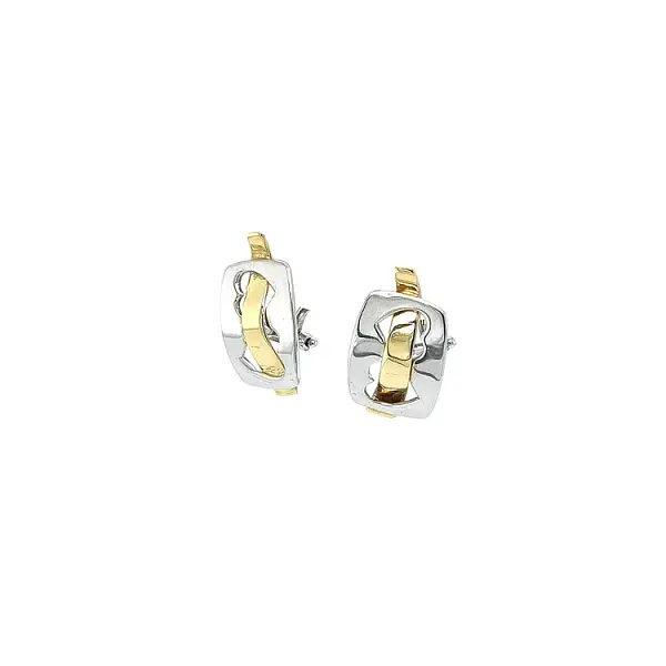 Earrings made of Combination Gold