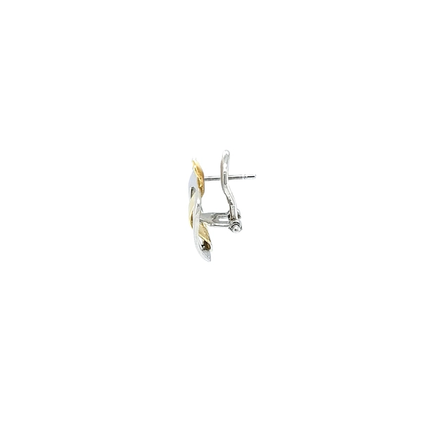 Earrings made of Combination Gold