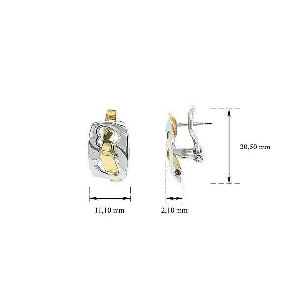 Earrings made of Combination Gold