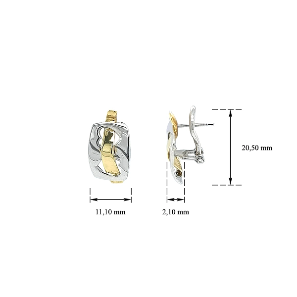 Earrings made of Combination Gold