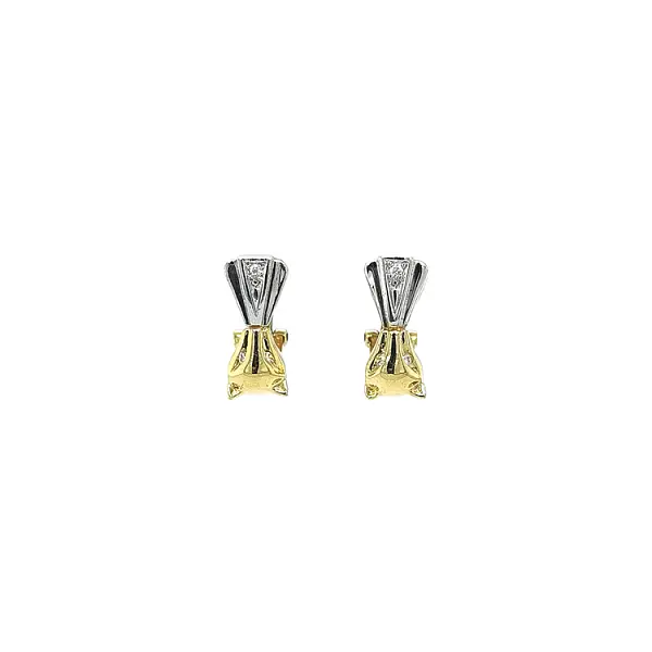 Earrings with Zircones in Gold