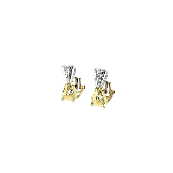Earrings with Zircones in Gold