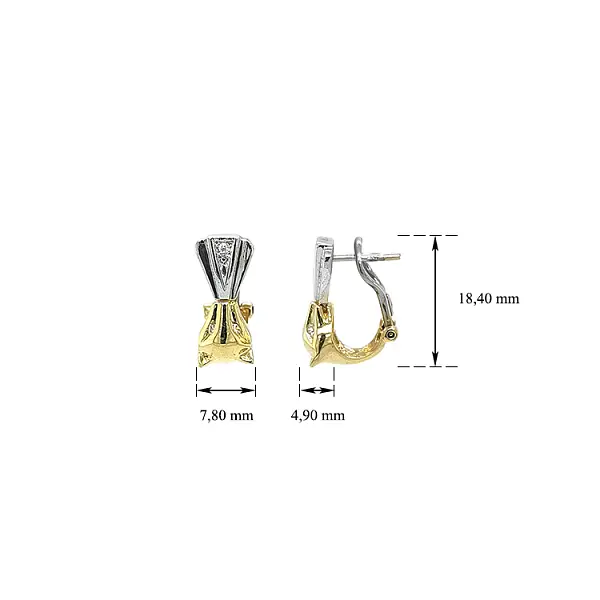 Earrings with Zircones in Gold