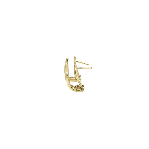 Gold Earrings with Zircons