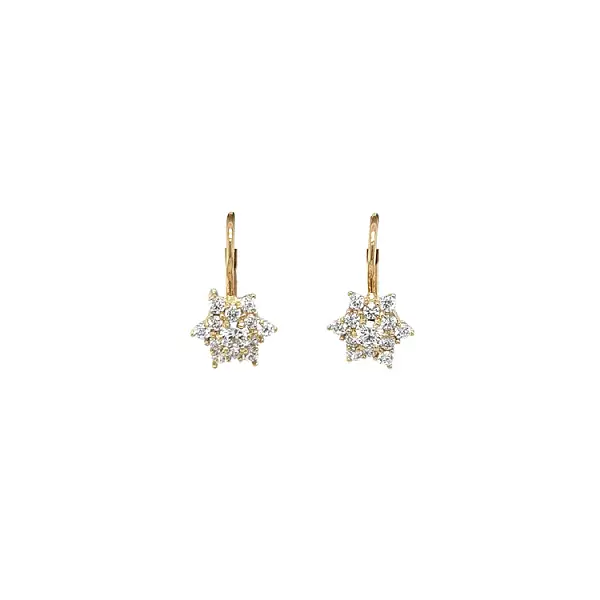Gold Earrings with Zircons