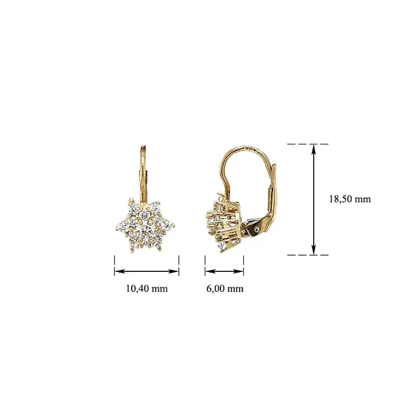 Gold Earrings with Zircons