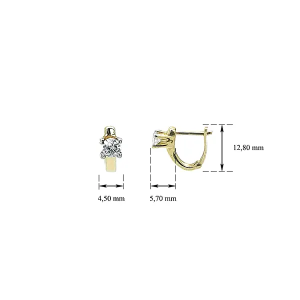 Gold Earrings with Zircons