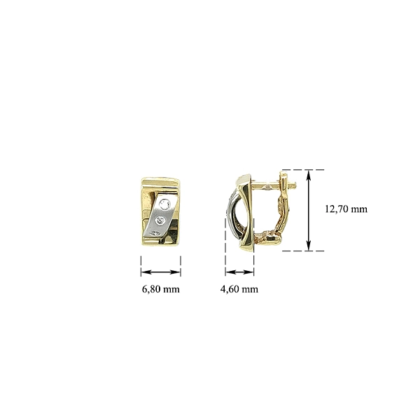 Earrings with White Gold Zircons