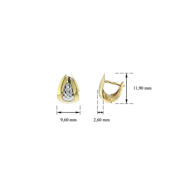 Gold Earrings made of Combination Gold
