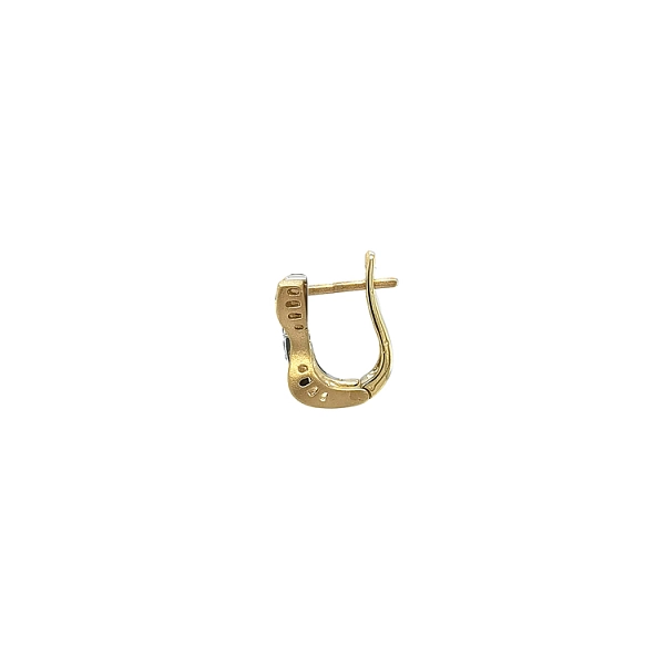 Earrings with Zircones in Gold