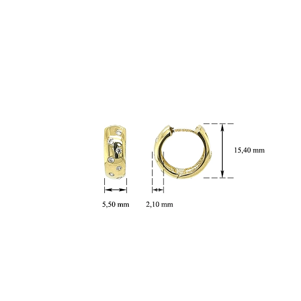 Gold Circular Earrings with Zircons