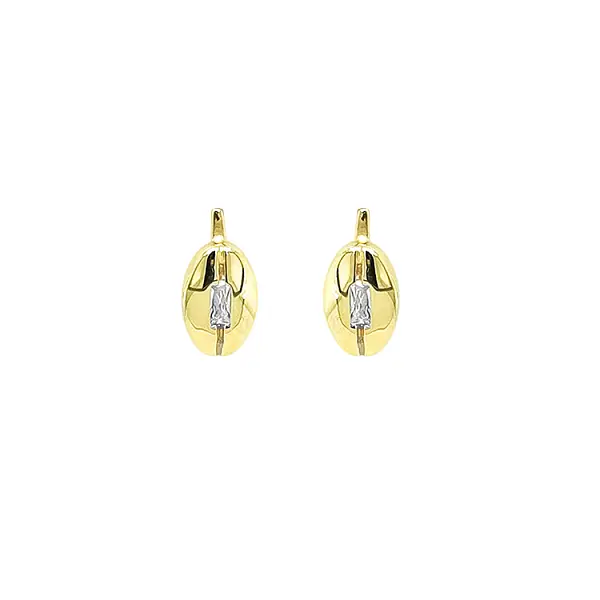 Gold Earrings with Zircons