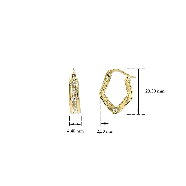 Gold Circular Earrings with Zircons