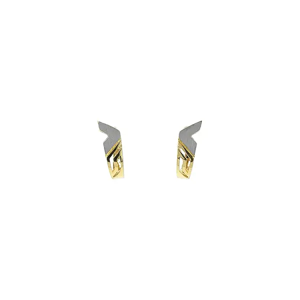 Earrings made of Combination Gold