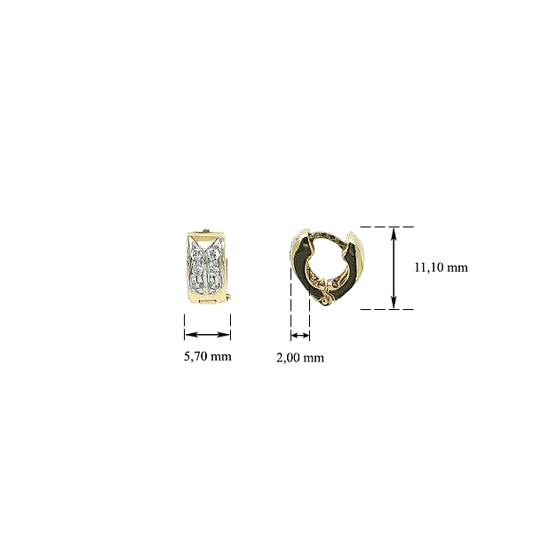 Gold Earrings with Zircons