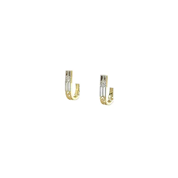 Earrings made of Combination Gold
