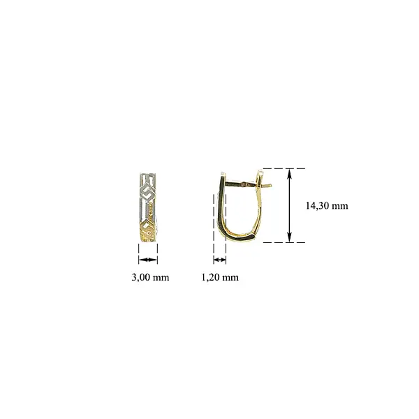 Earrings made of Combination Gold