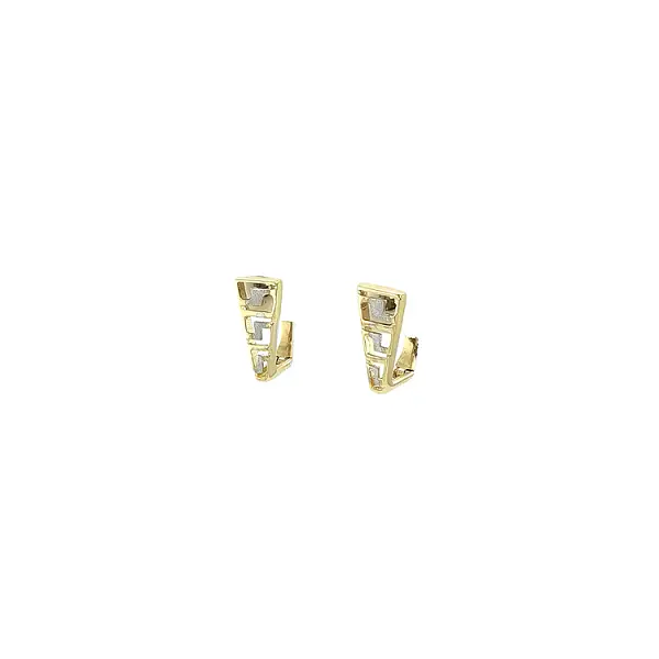 Earrings made of Combination Gold