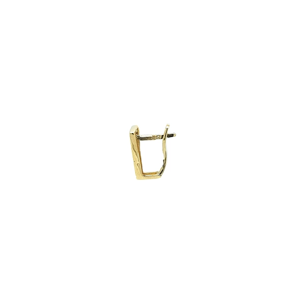 Earrings made of Combination Gold