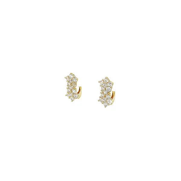 Gold Earrings with Zircons