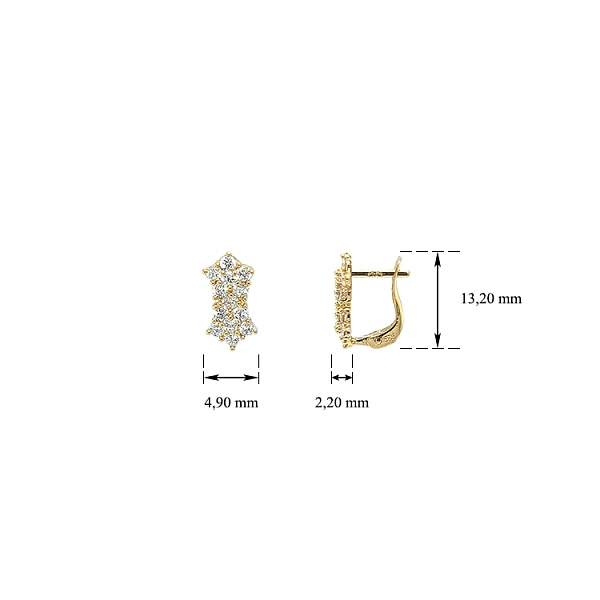 Gold Earrings with Zircons