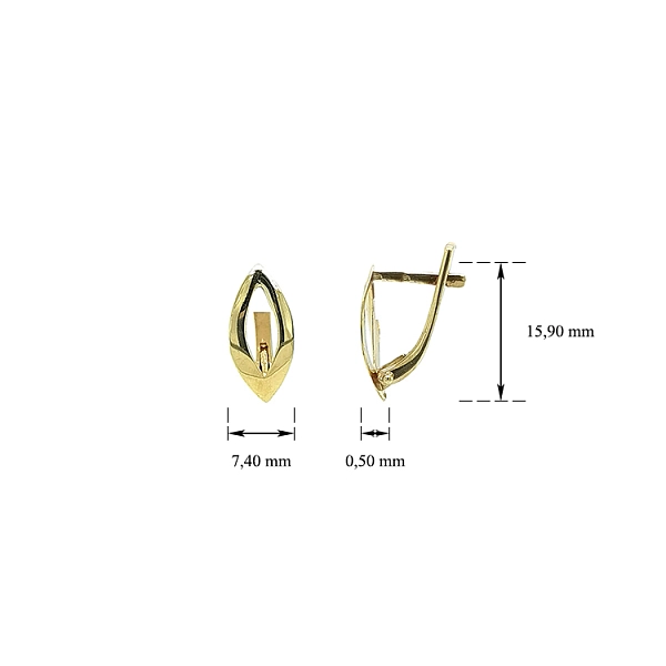 Gold Earrings
