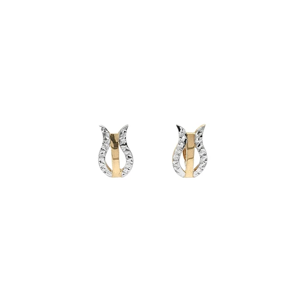 Earrings made of Combination Gold