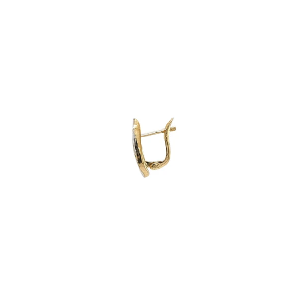 Earrings made of Combination Gold