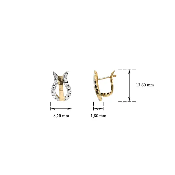 Earrings made of Combination Gold