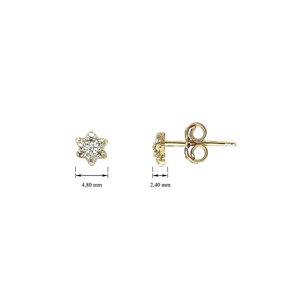Gold Pecky Earrings with Zircones