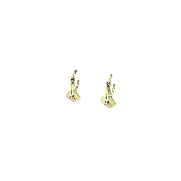 Children's Earrings made of Combination Gold