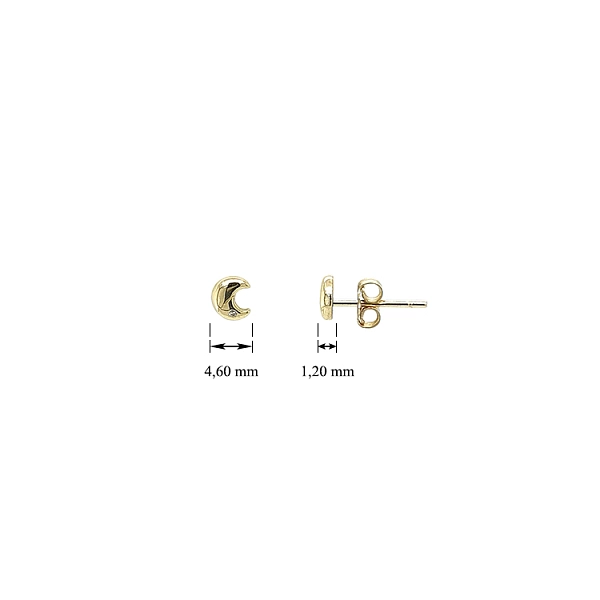 Gold Pecek Earrings Moon