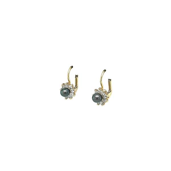 Gold Earrings with Pearl and Zircones