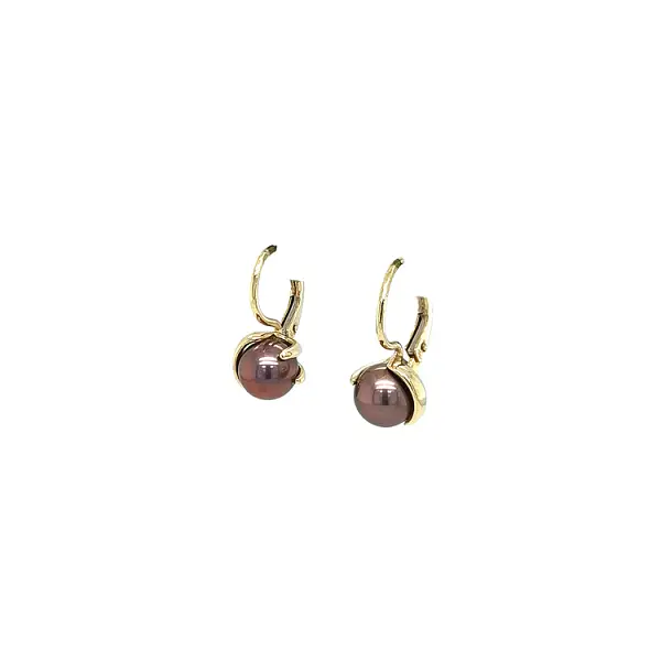Gold Earrings with Brown Pearl