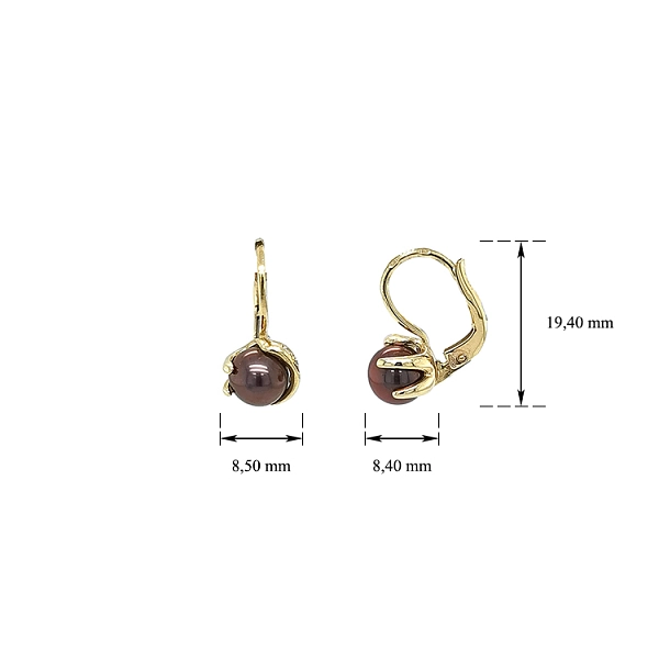 Gold Earrings Brown Pearl