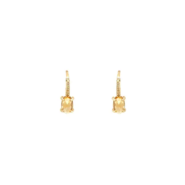 Gold Earrings with Zircons