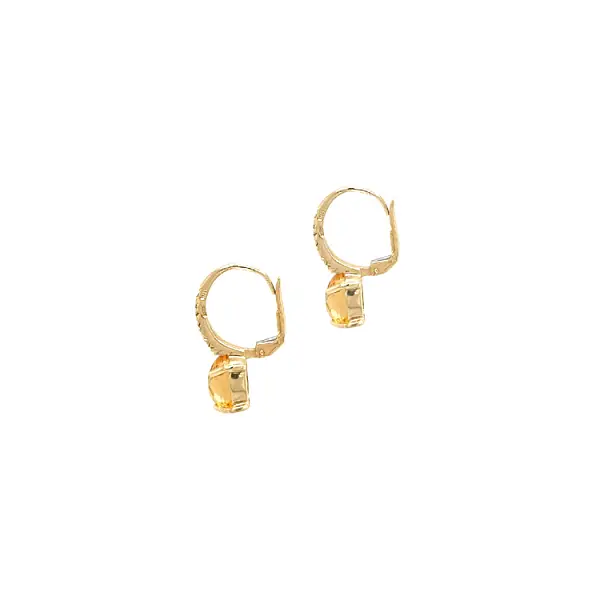 Gold Earrings with Zircons