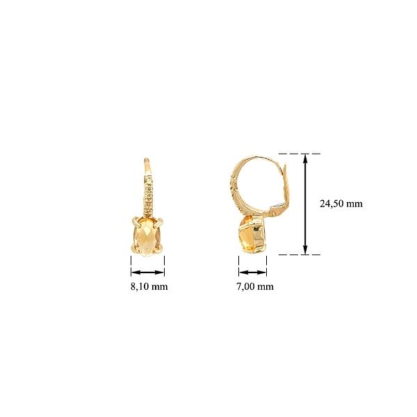 Gold Earrings with Zircons
